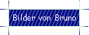 Bilder von Bruno