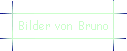 Bilder von Bruno