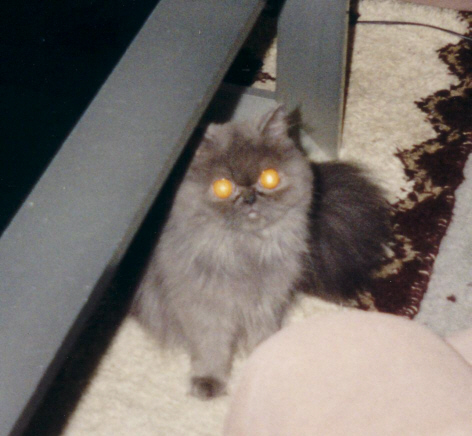 kleine Chucky