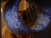 traumrolle
