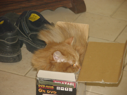 ..und riechen tuts auch gut...