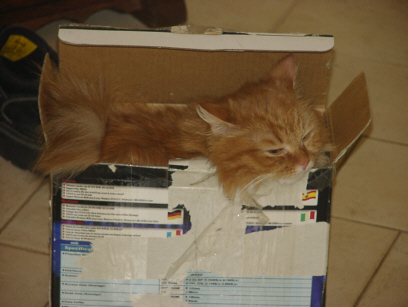 ..aahhh, gehts mir gut hier drin...