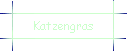 Katzengras