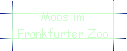 Moos im 
 Frankfurter Zoo