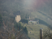 Clingenburg (9 Bilder)