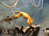 Zoobesuch FFM (54 Bilder)