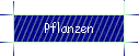 Pflanzen