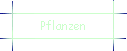 Pflanzen