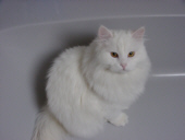 schne Badewanne